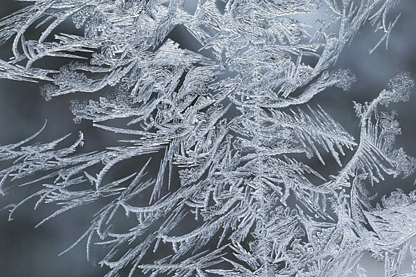 Bildagentur Mauritius Images Macro Capture Of Ice Crystals In Window Glass