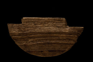 Driftwood on a black background Driftwood on a black background