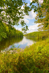 Lake Landscape, Summer scenic, Finland Lake Landscape, Summer scenic, Finland