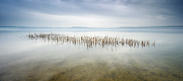 Deutschland, Sachsen-Anhalt, Geiseltalsee, Schilf, Regenwolken und Nebel Deutschland, Sachsen-Anhalt, Geiseltalsee, Schilf, Regenwolken und Nebel