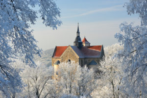 Deutschland, Sachsen-Anhalt, Burgenlandkreis, Goseck, Saaletal, Schloss Goseck im Winter, Bäume mit Raureif bedeckt Deutschland, Sachsen-Anhalt, Burgenlandkreis, Goseck, Saaletal, Schloss Goseck im Winter, Bäume mit Raureif bedeckt