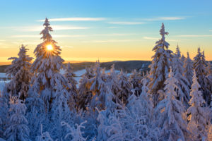Deutschland, Sachsen, Erzgebirge, Oberwiesenthal, Sonnenaufgang am Fichtelberg, Fichten mit Schnee bedeckt, Winterlandschaft Deutschland, Sachsen, Erzgebirge, Oberwiesenthal, Sonnenaufgang am Fichtelberg, Fichten mit Schnee bedeckt, Winterlandschaft