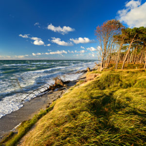 Deutschland, Mecklenburg-Vorpommern, Fischland-Darß-Zingst, Halbinsel Darß, Nationalpark Vorpommersche Boddenlandschaft, Wilde Küstenlandschaft, Ausblick auf die stürmische Ostsee Deutschland, Mecklenburg-Vorpommern, Fischland-Darß-Zingst, Halbinsel Darß, Nationalpark Vorpommersche Boddenlandschaft, Wilde Küstenlandschaft, Ausblick auf die stürmische Ostsee