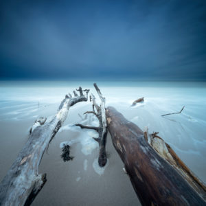 Entwurzelte Bäume am Strand der Ostsee, dunkle Wolken, Langzeitbelichtung, Halbinsel Fischland-Darß-Zingst, Nationalpark Vorpommersche Boddenlandschaft, Mecklenburg-Vorpommern, Deutschland Entwurzelte Bäume am Strand der Ostsee, dunkle Wolken, Langzeitbelichtung, Halbinsel Fischland-Darß-Zingst, Nationalpark Vorpommersche Boddenlandschaft, Mecklenburg-Vorpommern, Deutschland