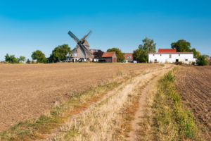 Field landscape with post mill Wolmirstedt, Saxony-Anhalt, Germany