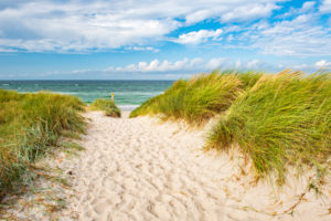 Western Pomerania Lagoon Area National Park, Mecklenburg-Western Pomerania, Germany