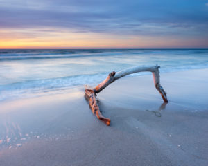Afterglow on the beach of the Baltic Sea, branch in the surf, Fischland-Darß-Zingst peninsula, Western Pomerania Lagoon Area National Park, Mecklenburg-Western Pomerania, Germany