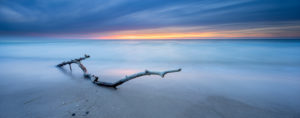 Panorama, afterglow on the beach of the Baltic Sea, branch in the surf, Fischland-Darß-Zingst peninsula, Western Pomerania Lagoon Area National Park, Mecklenburg-Western Pomerania, Germany
