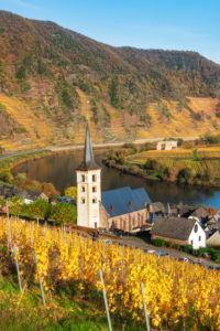 Germany, Rhineland-Palatinate, Bremm (Mosel), wine-growing village Bremm on the Moselle with Sankt Laurentius church, in the back monastery ruin Stuben