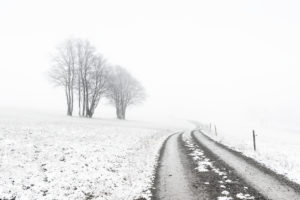 Dirt road through lonely desolate landscape with fog in winter, bare trees on field with snow, Harz, near mountain town Sankt Andreasberg, Lower Saxony, Germany