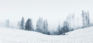 Lonely desolate landscape with fog in winter, bare trees, field with snow, Harz, near the mountain town of Sankt Andreasberg, Lower Saxony, Germany