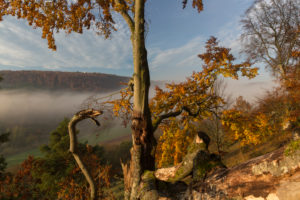12 Apostels rock formation in the Altmühl valley nature park close to Solnhofen in Bavaria, Germany. 12 Apostels rock formation in the Altmühl valley nature park close to Solnhofen in Bavaria, Germany.