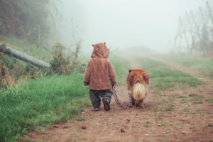 Kleinkind geht mit Hund im Nebel spazieren Kleinkind geht mit Hund im Nebel spazieren