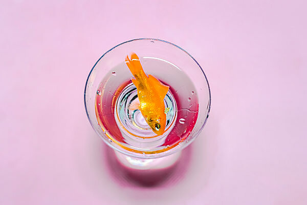 Jug And Glass With Drinking Water Photograph by Wladimir Bulgar/science  Photo Library - Pixels