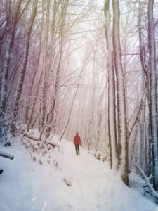 Germany, Palatinate Forest, woman in winter forest