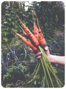 Woman holding carrots