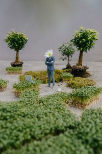Businessman figurine with flower head standing park