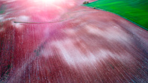 Spain, Province of Guadalajara,†Yunquera†de†Henares, Drone view of brown countryside field Spain, Province of Guadalajara,†Yunquera†de†Henares, Drone view of brown countryside field