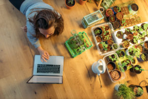 Young woman using laptop on wooden floor next to plants Young woman using laptop on wooden floor next to plants