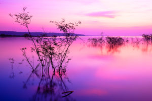 Fantastic sunset with the sun setting over the horizon in the Amazon Basin, Manaus, Brazil Fantastic sunset with the sun setting over the horizon in the Amazon Basin, Manaus, Brazil