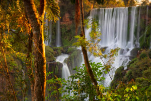Iguazu Falls, Iguazu National Park, Argentina Iguazu Falls, Iguazu National Park, Argentina