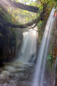 Waterfall around the city of Presidente Figueiredo, Amazon region, Brazil Waterfall around the city of Presidente Figueiredo, Amazon region, Brazil
