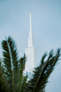 Georgia, Adjara, Batumi, Palm tree against Batumi†Technological University Tower Georgia, Adjara, Batumi, Palm tree against Batumi†Technological University Tower