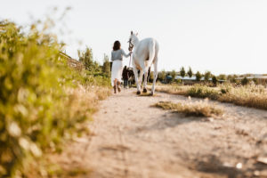 Woman with grey horse on a farm Woman with grey horse on a farm