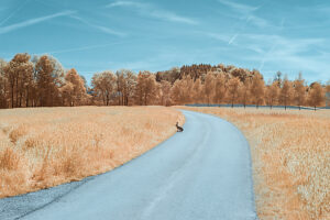 Tranquil rural setting in Austria with surreal colors and a winding road