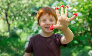 Red-haired child laughing with raspberries on fingers in garden