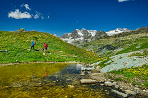 Hikers trekking in the Bernina Alps Lombardy on a summer mountain trail
