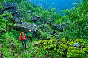 Hikers enjoying adventure on green mountain trail in Bernina Alps Italy