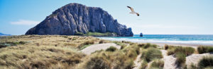 California, Pacific coast, Morro Bay, Morro Rock, dunes California, Pacific coast, Morro Bay, Morro Rock, dunes