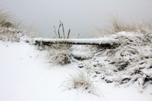 The North Sea, island, Sylt, winter scene The North Sea, island, Sylt, winter scene