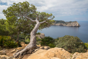 Blick von der Westküste zur Insel Sa Dragonera (die Dracheninsel), Nähe Sant Elm, Mallorca, Balearen, Spanien Blick von der Westküste zur Insel Sa Dragonera (die Dracheninsel), Nähe Sant Elm, Mallorca, Balearen, Spanien