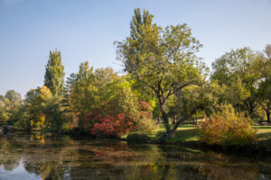 Water park in autumn, 21st district, Vienna, Floridsdorf, Austria Water park in autumn, 21st district, Vienna, Floridsdorf, Austria