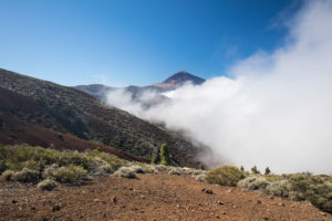 Raising fog at the La Tarta viewpoint with a view of Pico del Teide (3718 m), El Teide National Park, UNESCO World Heritage, Tenerife, Canary Islands, Spain Raising fog at the La Tarta viewpoint with a view of Pico del Teide (3718 m), El Teide National Park, UNESCO World Heritage, Tenerife, Canary Islands, Spain