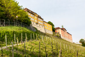 Meersburg, Baden-Württemberg, Bodensee, Deutschland, das Staatsweingut Meersburg Meersburg, Baden-Württemberg, Bodensee, Deutschland, das Staatsweingut Meersburg