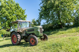 Michelstadt, Hessen, Fendt Dieselross Farmer 2D, type FW 228, year of construction 1963, 28 HP, 1990 ccm. Michelstadt, Hessen, Fendt Dieselross Farmer 2D, type FW 228, year of construction 1963, 28 HP, 1990 ccm.