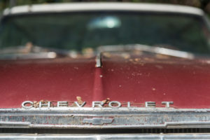 Wreckage of an old Chevrolet, detail. Wreckage of an old Chevrolet, detail.