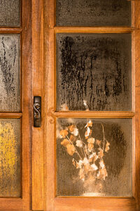 Dried flowers behind a rain-soaked wooden window Dried flowers behind a rain-soaked wooden window