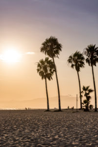Venice Beach, Los Angeles, Kalifornien, USA Venice Beach, Los Angeles, Kalifornien, USA
