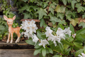Garden decoration, figure, deer, rhododendron, Garden decoration, figure, deer, rhododendron,