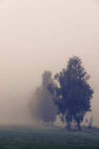 Scenery in the fog, Germany, Bavaria, colorless, empty, alone, lonely Scenery in the fog, Germany, Bavaria, colorless, empty, alone, lonely