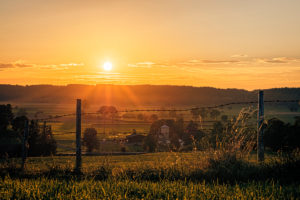 Allgäuer scenery in the back light, Germany, Bavaria, Allgäu, meadows, nature, scenery Allgäuer scenery in the back light, Germany, Bavaria, Allgäu, meadows, nature, scenery