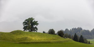 Landscape in Schöllang near Orbestdorf in the Allgäu Landscape in Schöllang near Orbestdorf in the Allgäu