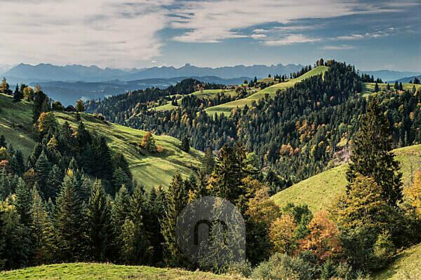 Neuschwanstein Castle in autumn print by Dennis Fischer