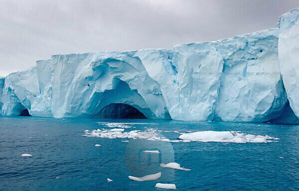 Ice Floe Photos and Images & Pictures