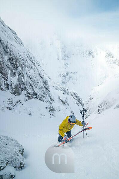 skier man sliding down fresh powder snowy mountain fir tree forest