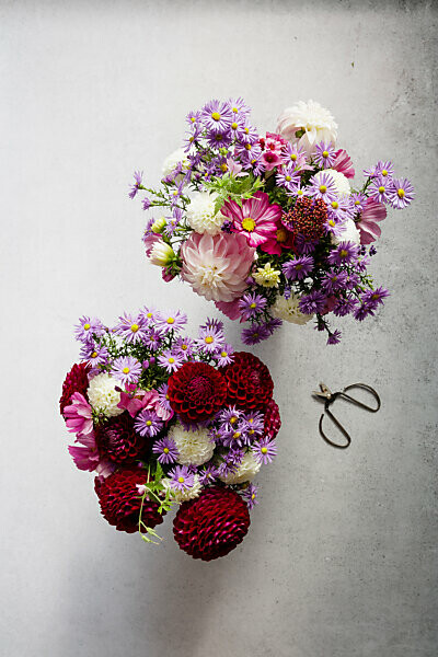 Bildagentur mauritius images Studio shot of two bouquets of seasonal flowers